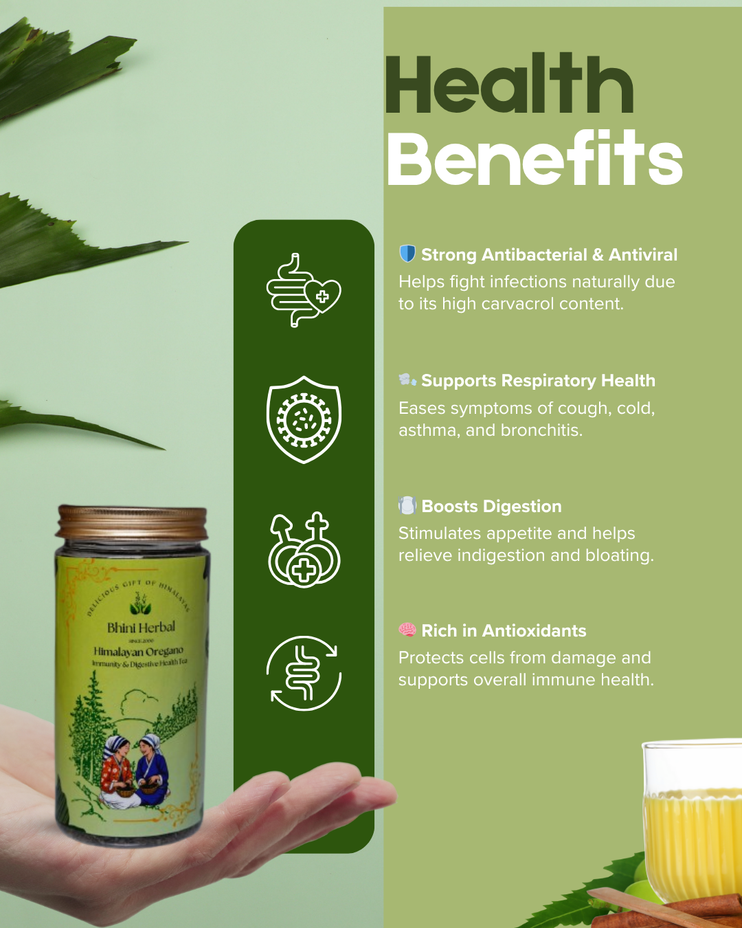 Immunity & Digestive Health Tea (Himalayan Oregano) - Image 2